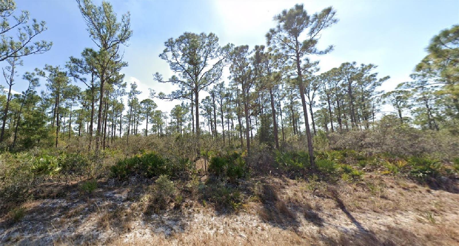 3334 BARN SWALLOW AVE, LAKE PLACID, FL, 33852