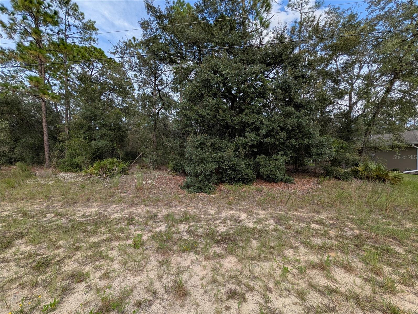 6299 N ALLSTON TER, CITRUS SPRINGS, FL, 34433