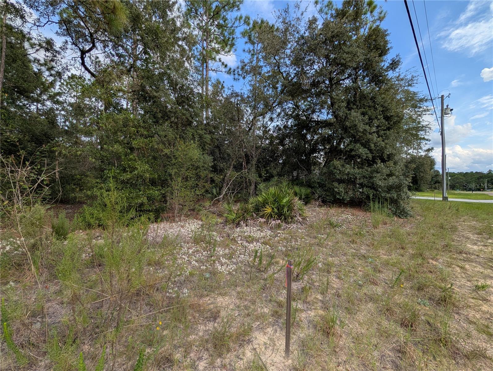 6299 N ALLSTON TER, CITRUS SPRINGS, FL, 34433