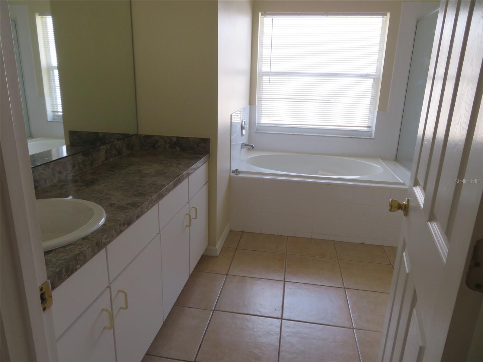 236 LAUREL RIDGE PASS, DAVENPORT, FL, 33897