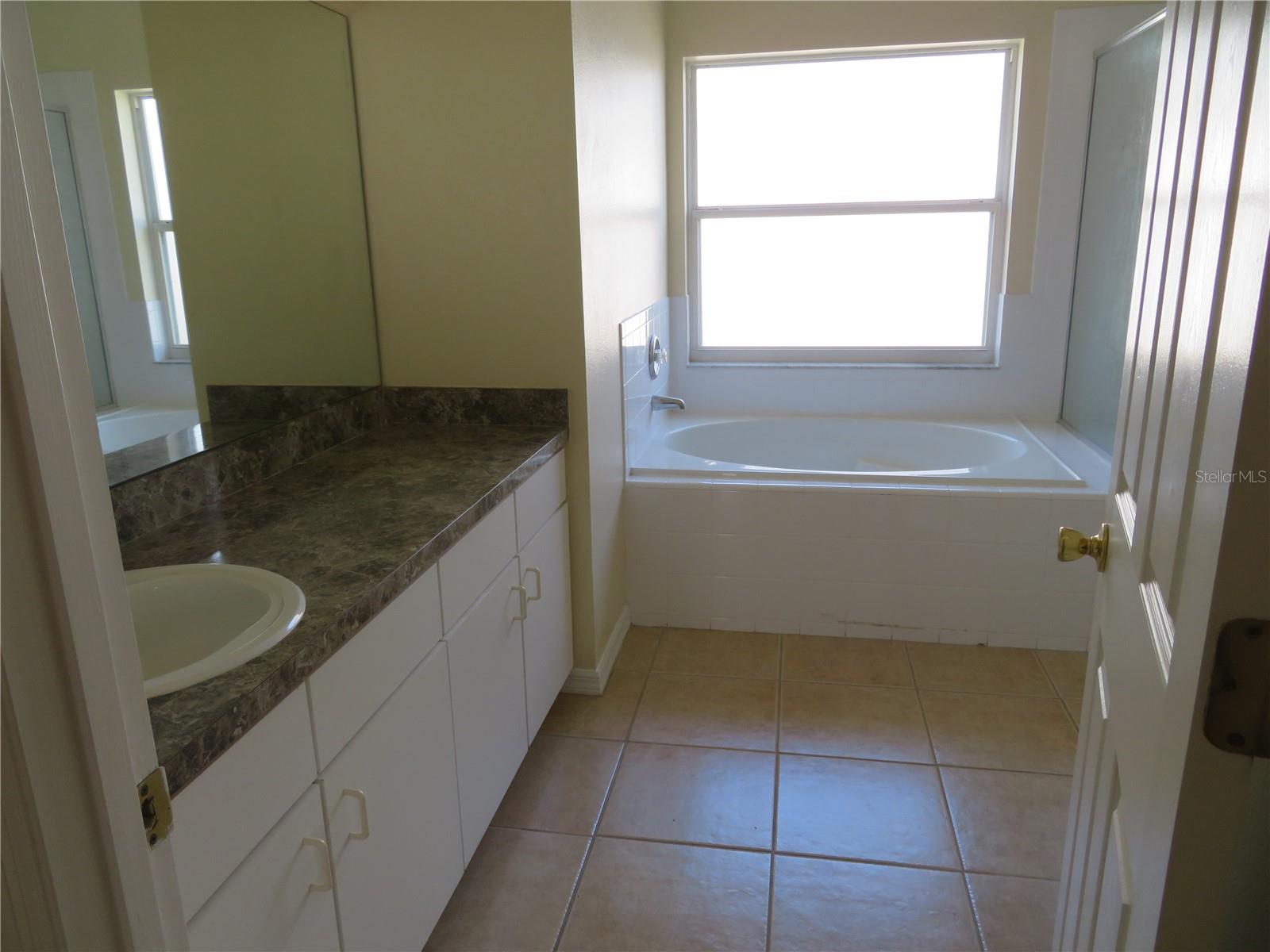 236 LAUREL RIDGE PASS, DAVENPORT, FL, 33897