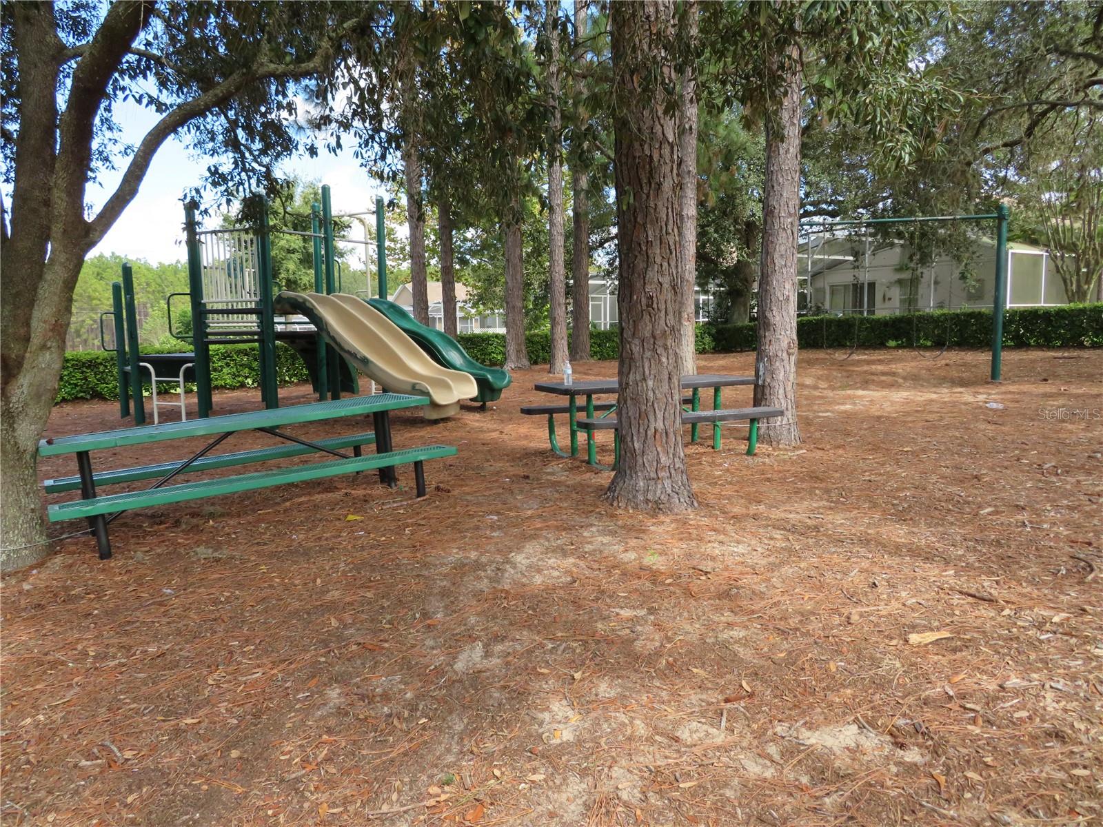 236 LAUREL RIDGE PASS, DAVENPORT, FL, 33897