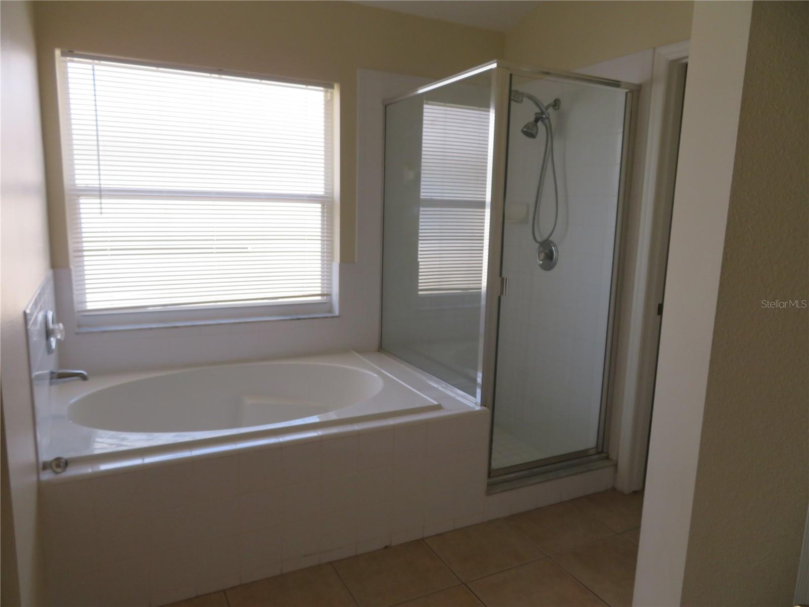 236 LAUREL RIDGE PASS, DAVENPORT, FL, 33897