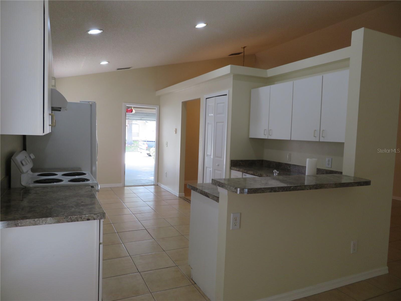 236 LAUREL RIDGE PASS, DAVENPORT, FL, 33897