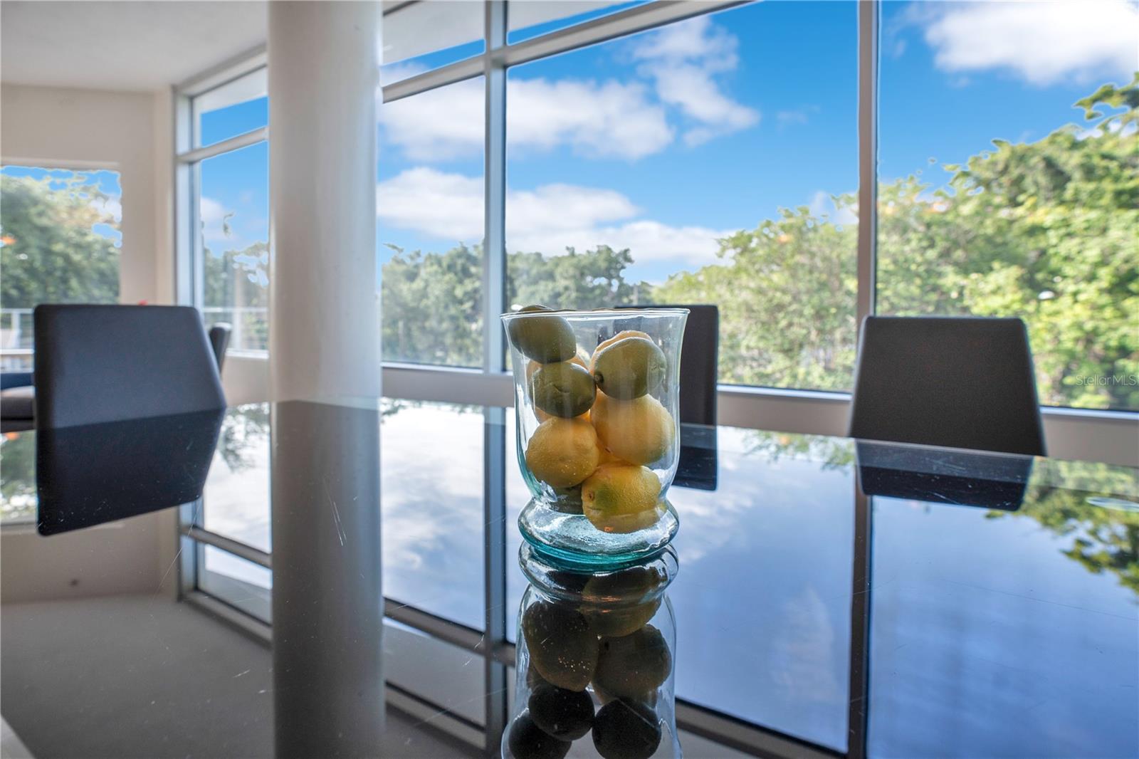 525 E JACKSON ST #302, ORLANDO, FL, 32801