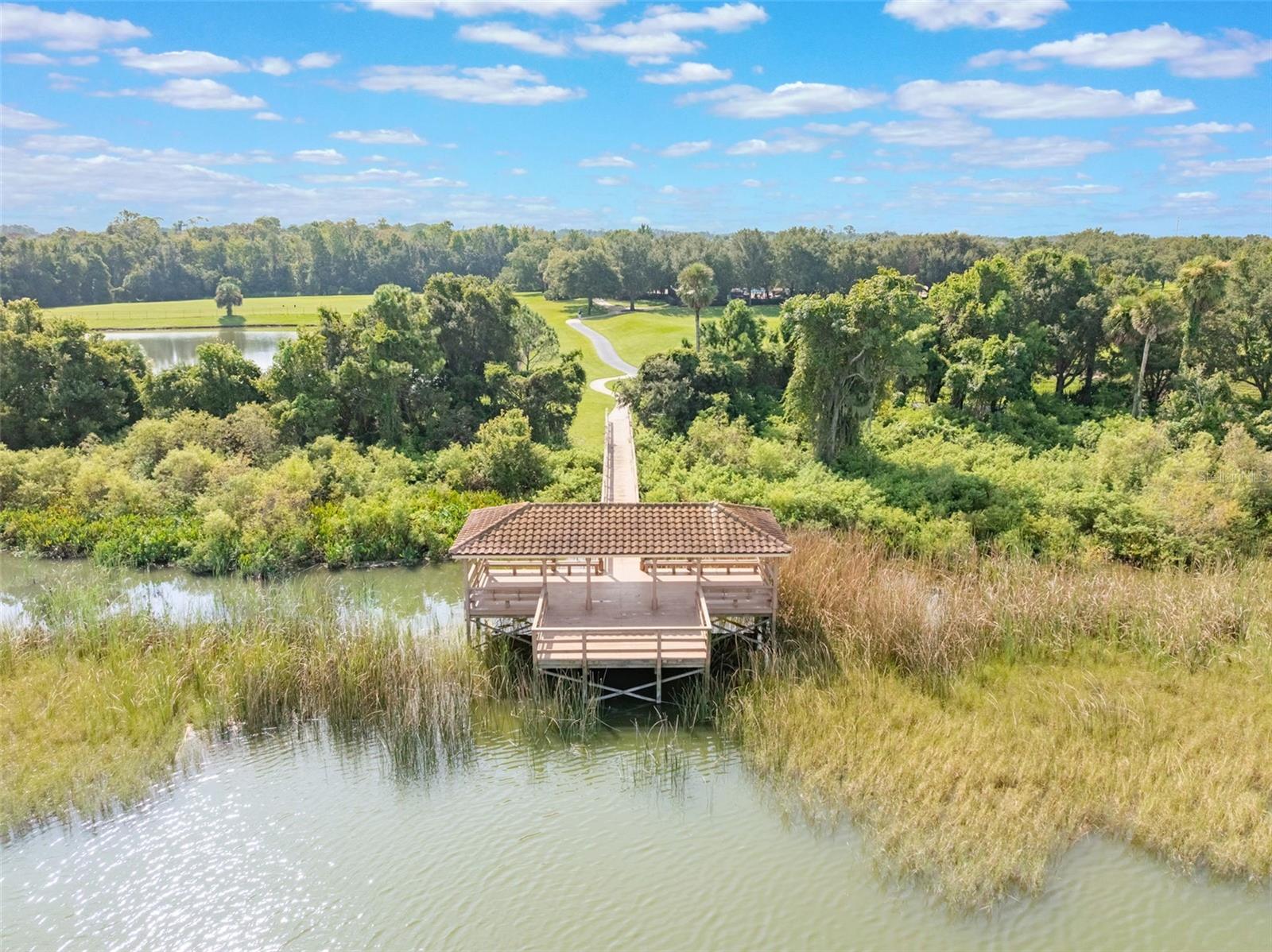 3223 PICCOLO CT, OCOEE, FL, 34761