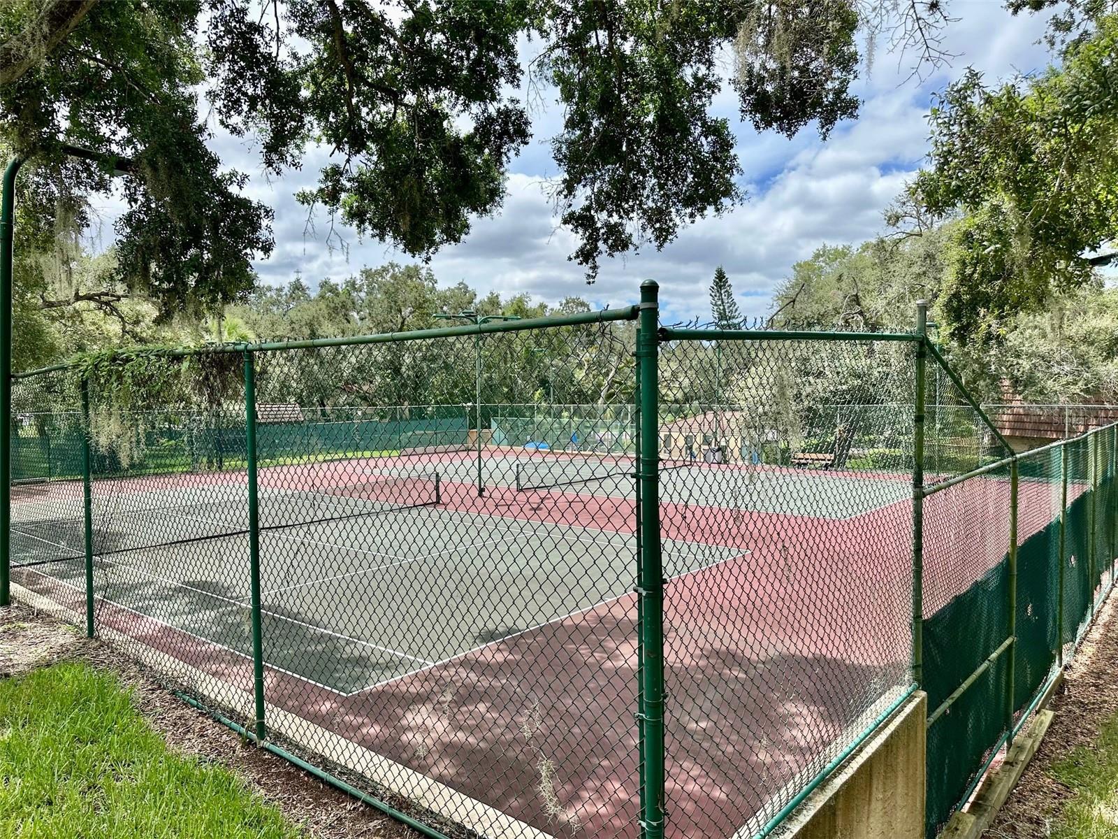 2769 5TH CT, PALM HARBOR, FL, 34684