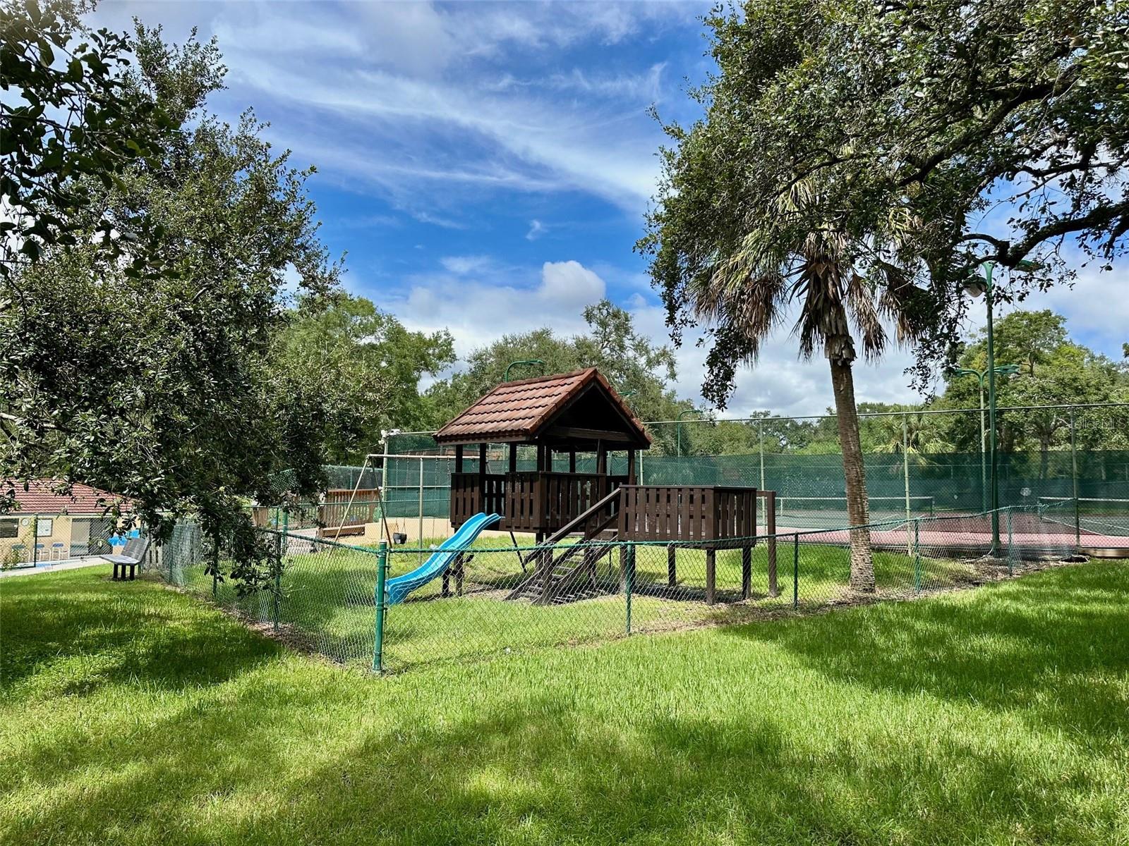 2769 5TH CT, PALM HARBOR, FL, 34684