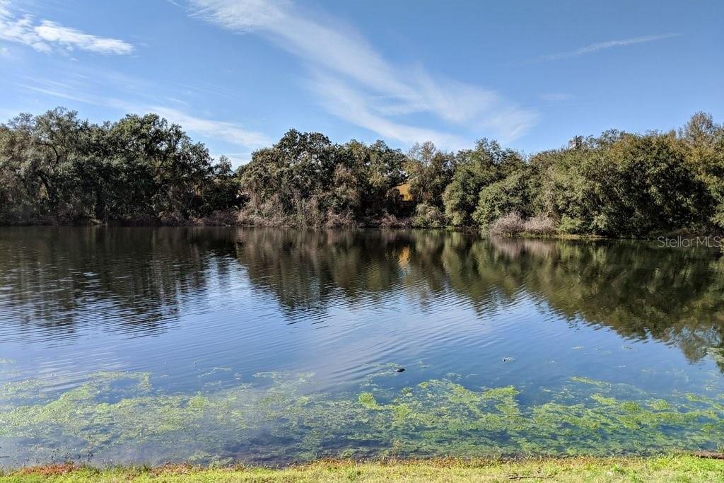 2769 5TH CT, PALM HARBOR, FL, 34684