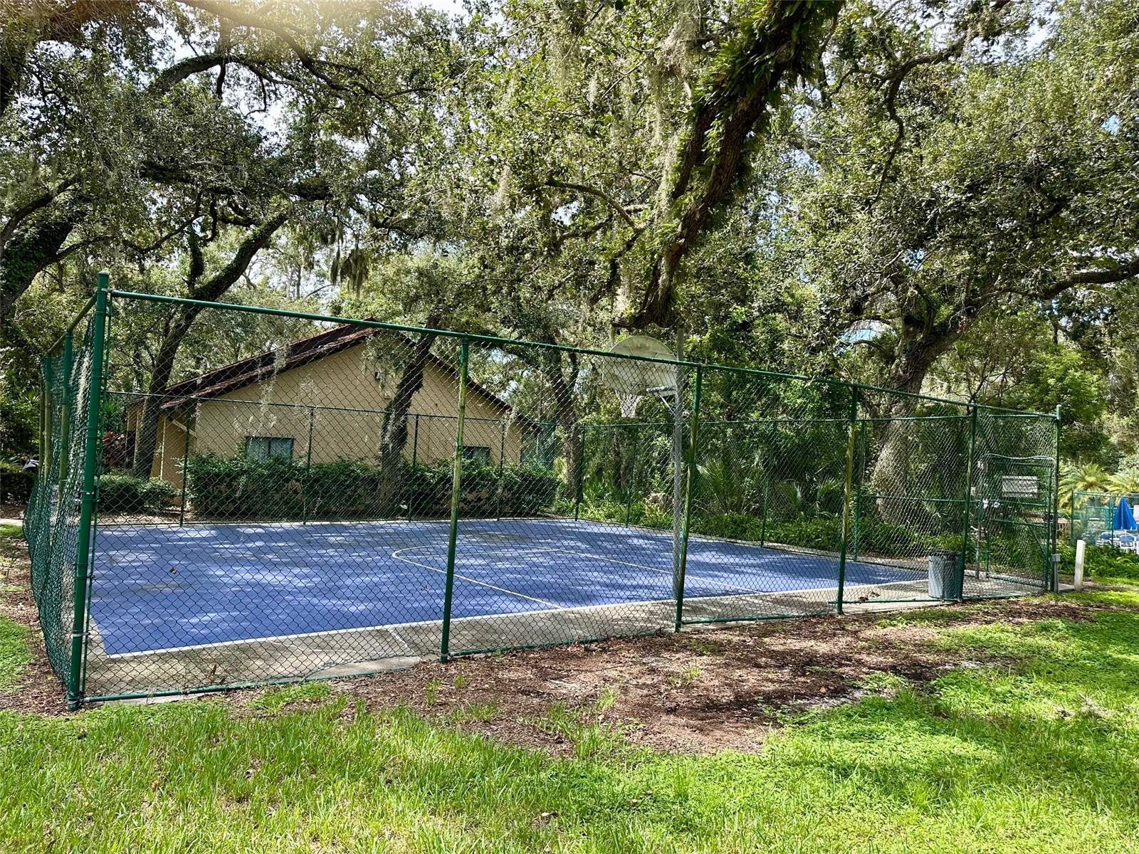 2769 5TH CT, PALM HARBOR, FL, 34684