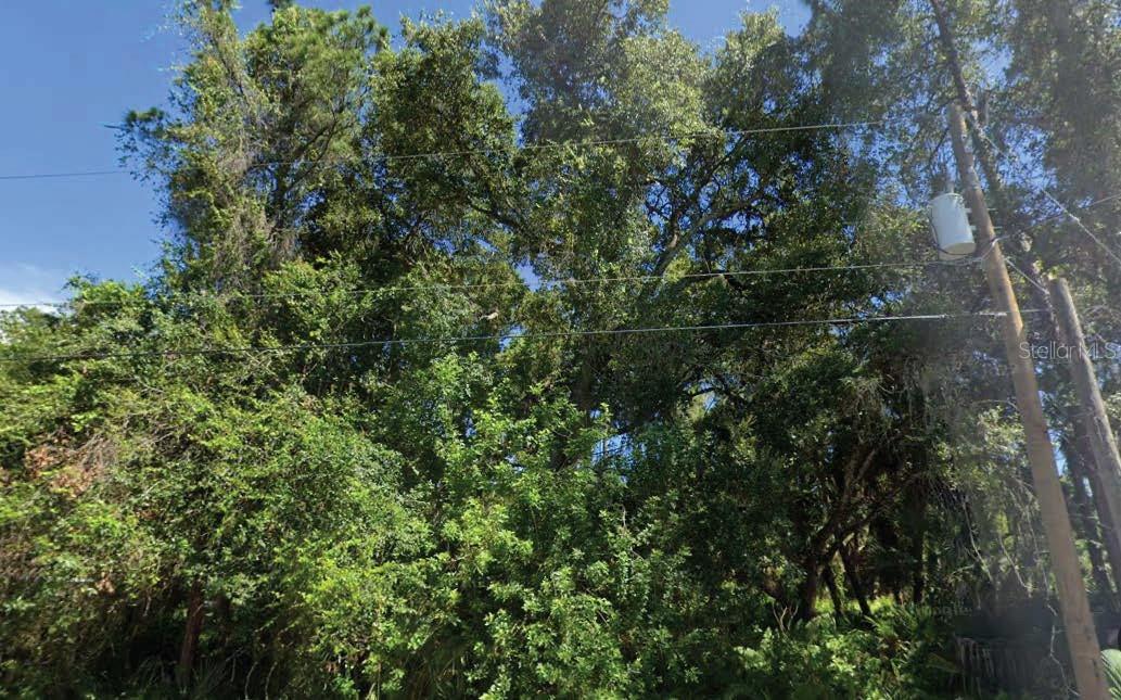 TRENTWOOD LN, NORTH PORT, FL, 34286