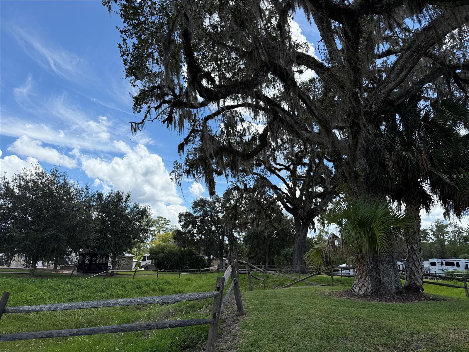 10264 NE 28TH LOOP, SILVER SPRINGS, FL, 34488