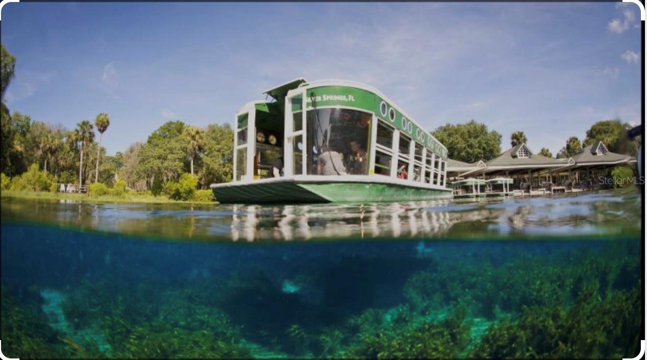 10264 NE 28TH LOOP, SILVER SPRINGS, FL, 34488