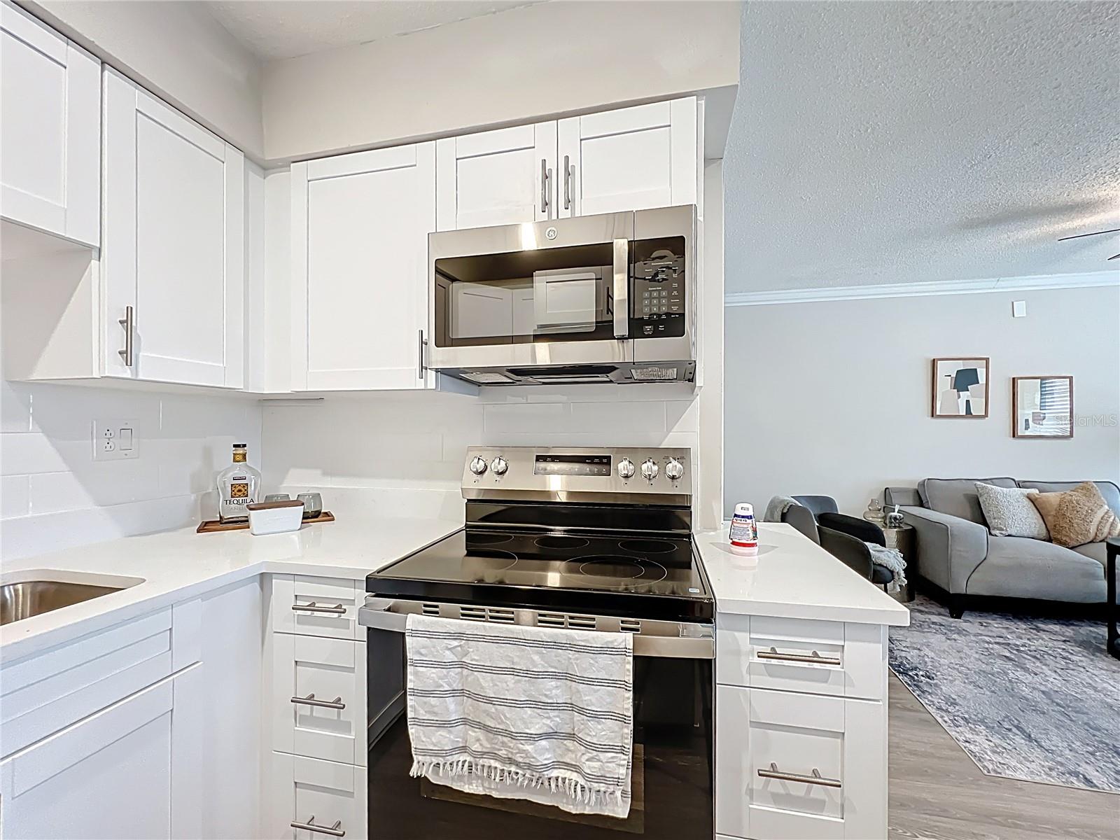 250 ROSERY RD NW #202, LARGO, FL, 33770