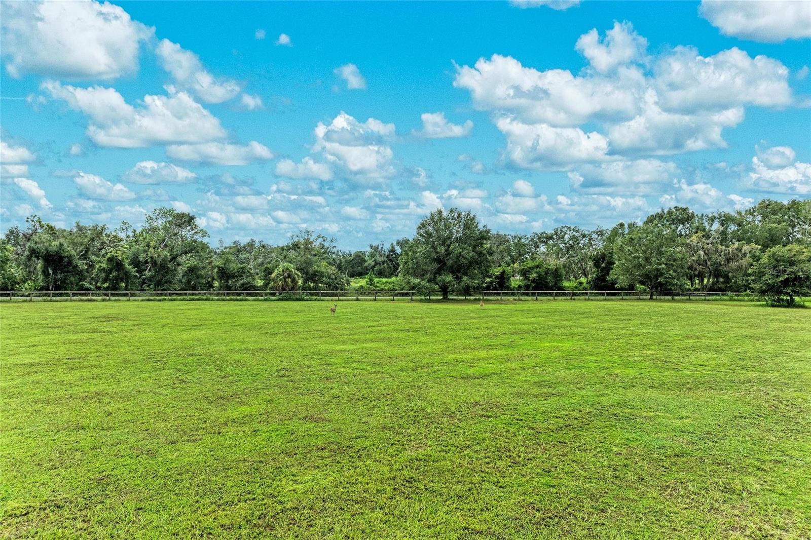 A4664784 Property Photo