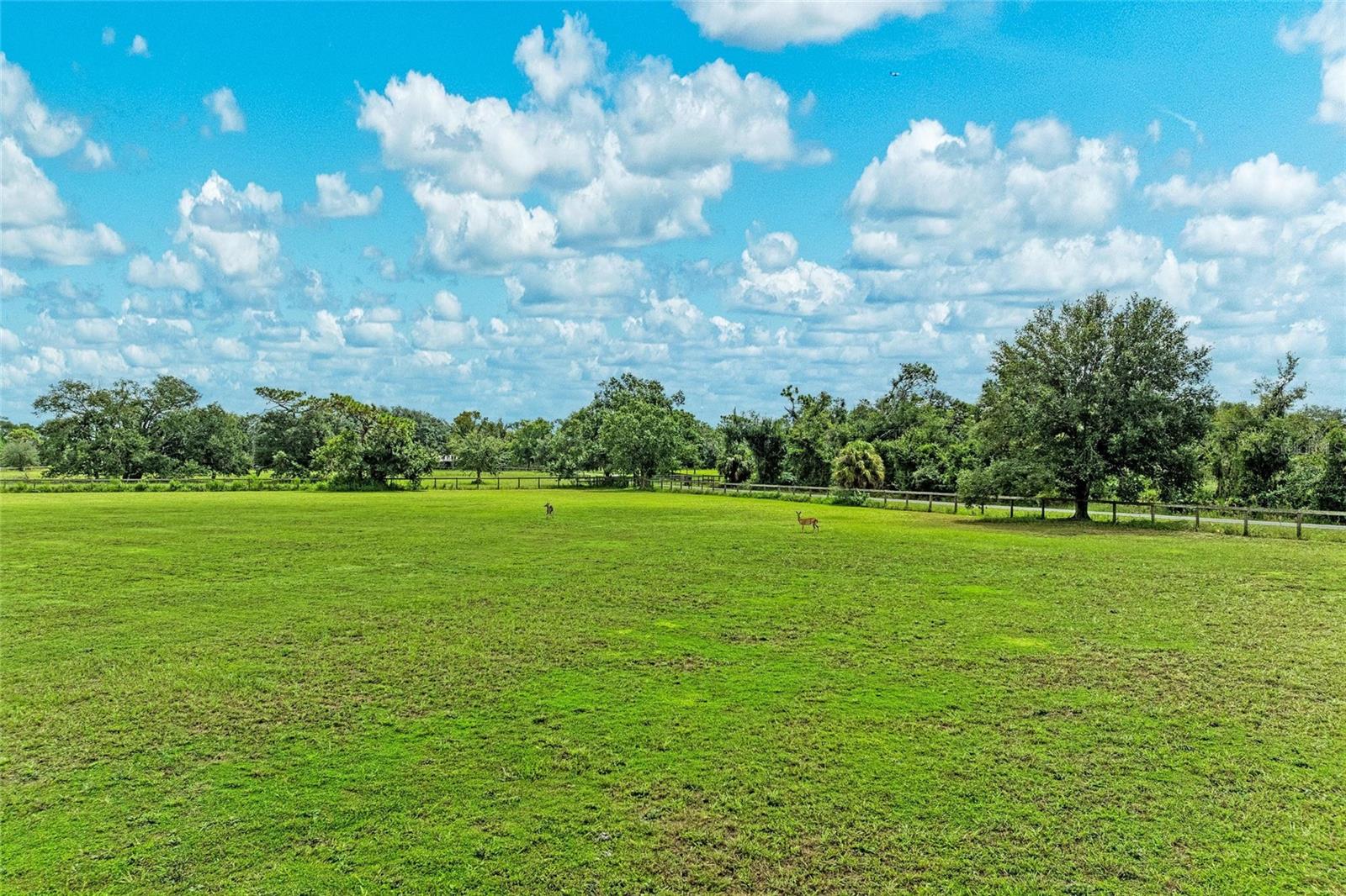 A4664784 Property Photo