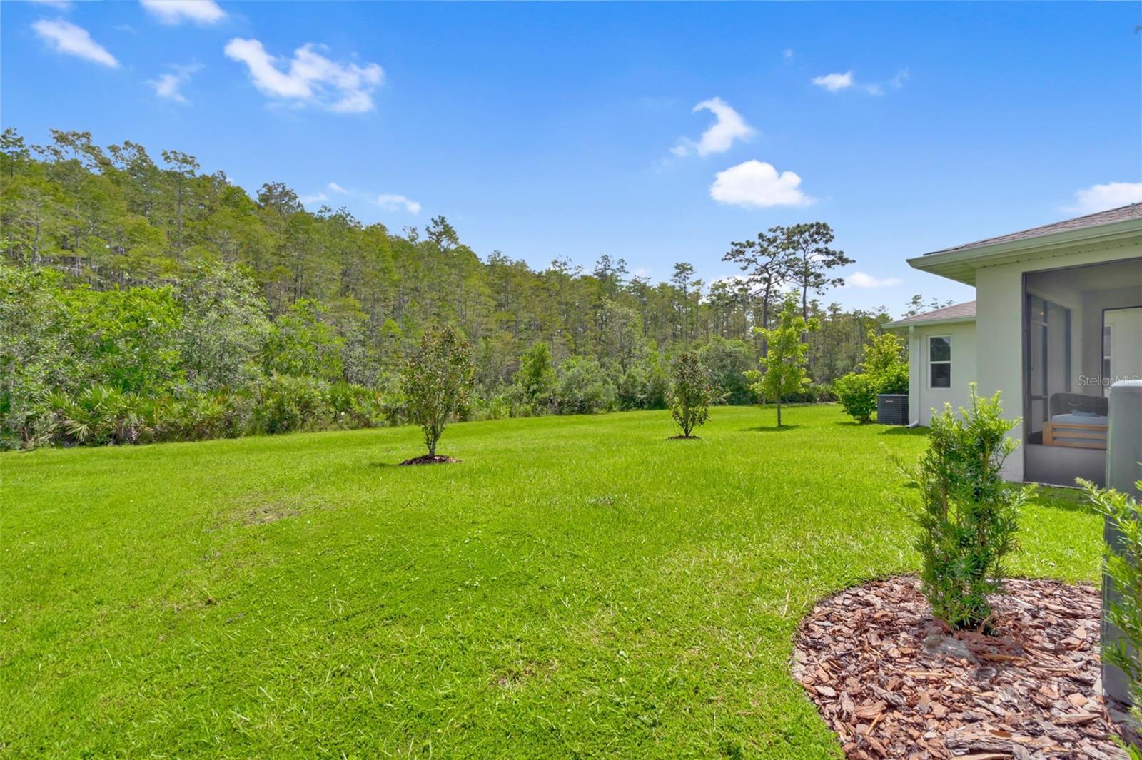 4071 SOUTHERN VISTA LOOP, ST CLOUD, FL, 34772