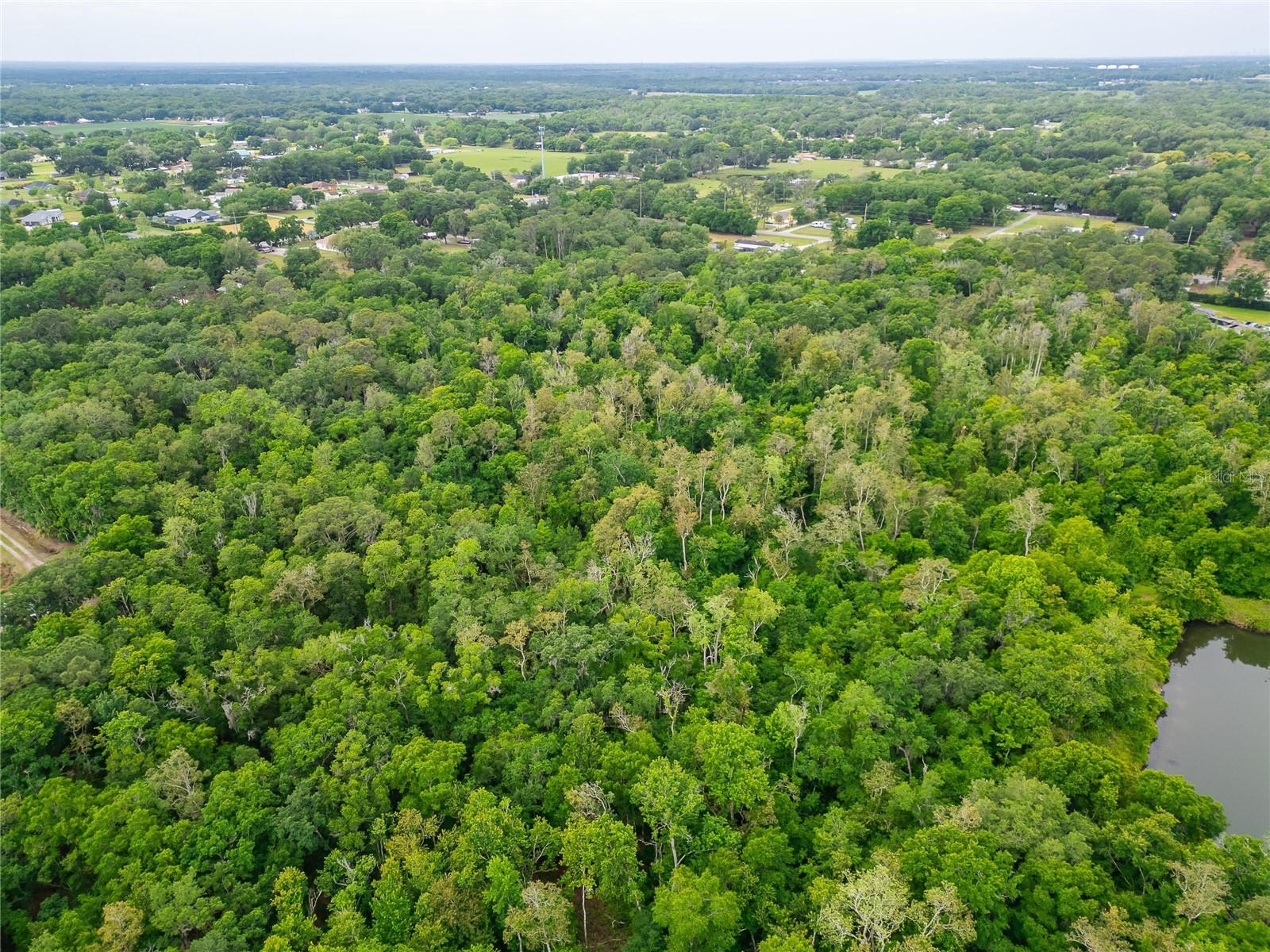 TURKEY CREEK, PLANT CITY, FL, 33566