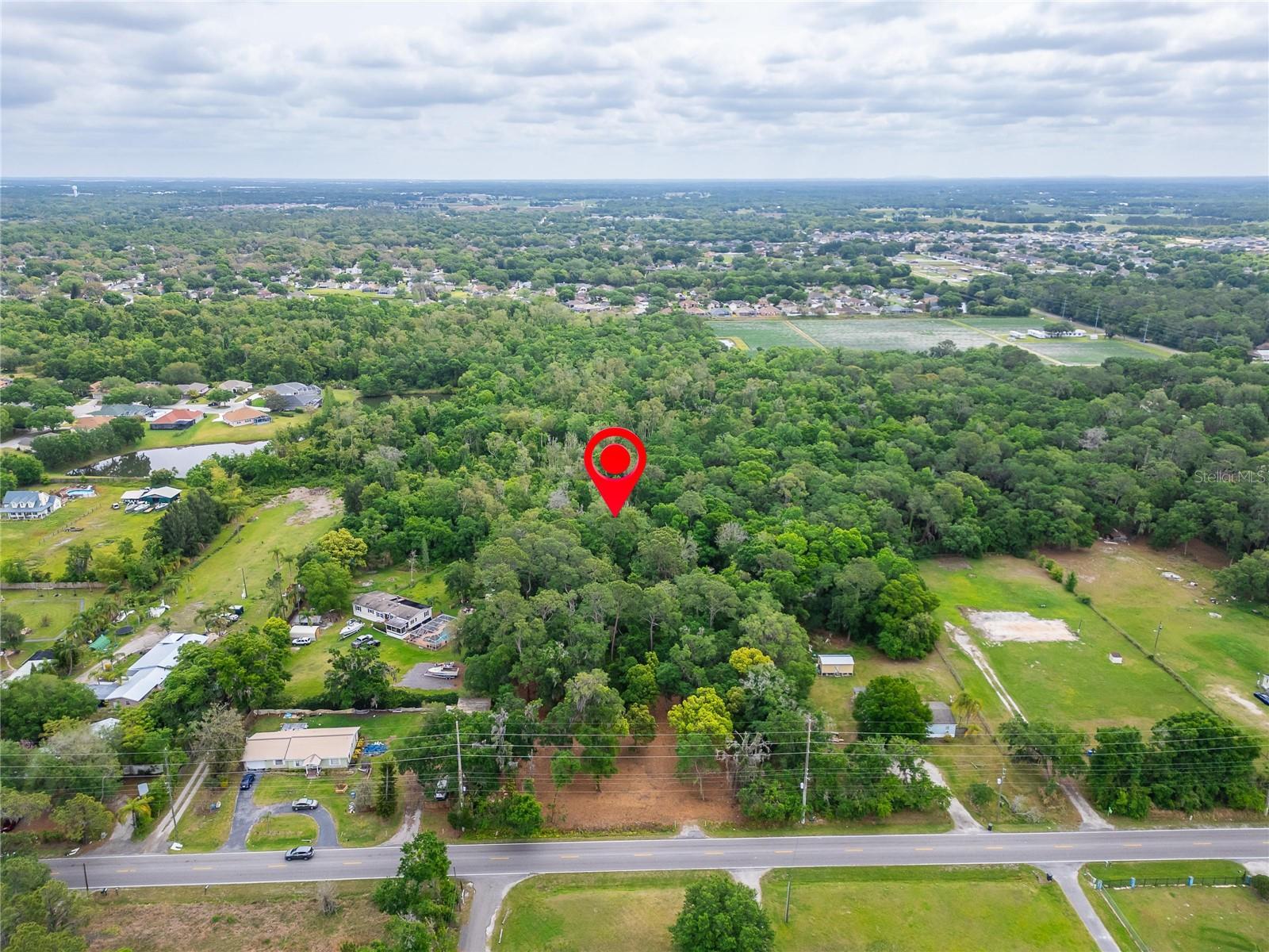 TURKEY CREEK, PLANT CITY, FL, 33566