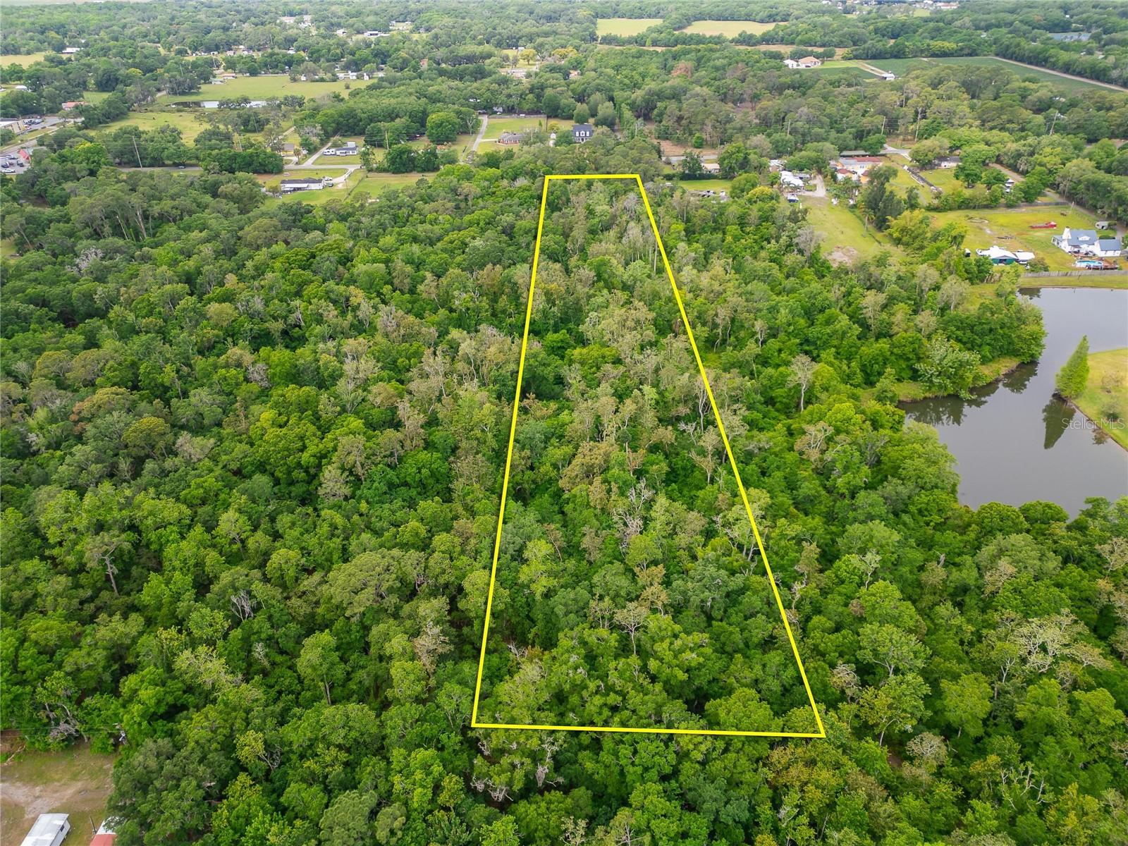 TURKEY CREEK, PLANT CITY, FL, 33566