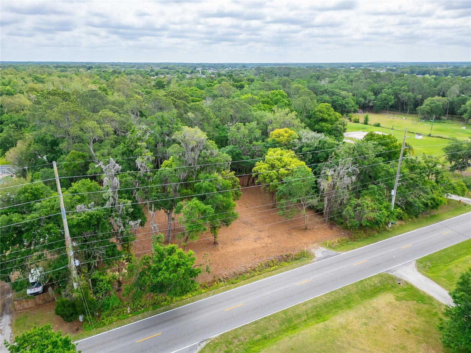 TURKEY CREEK, PLANT CITY, FL, 33566