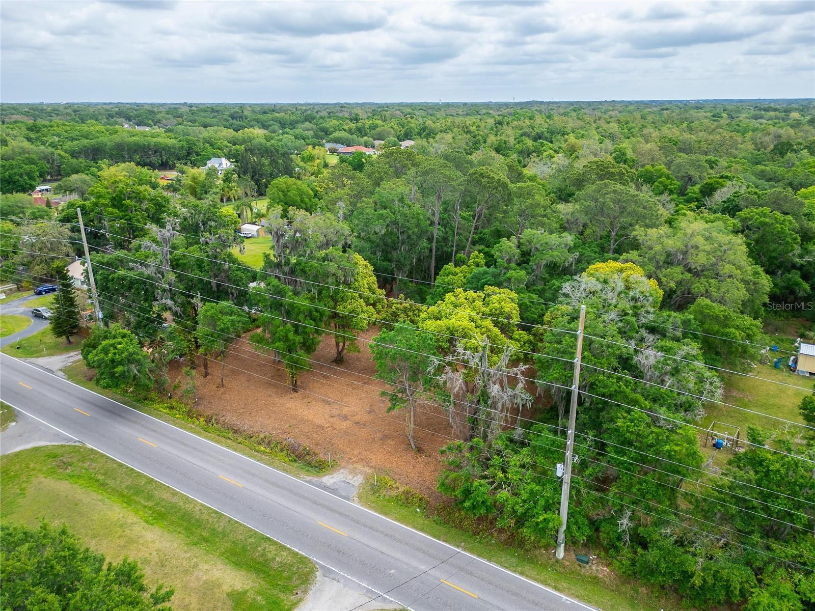 TURKEY CREEK, PLANT CITY, FL, 33566