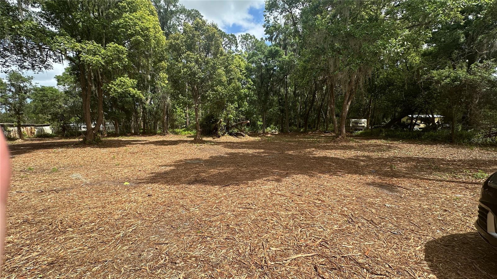 TURKEY CREEK, PLANT CITY, FL, 33566