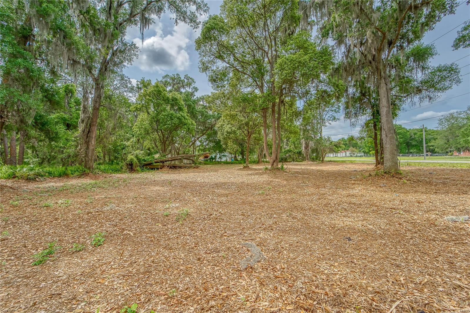 TURKEY CREEK, PLANT CITY, FL, 33566