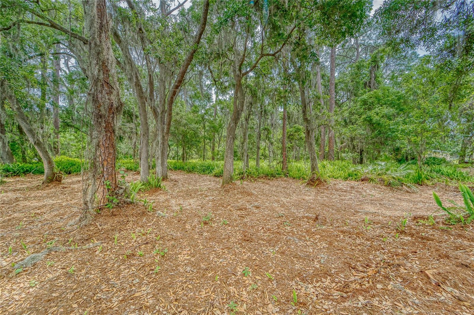 TURKEY CREEK, PLANT CITY, FL, 33566