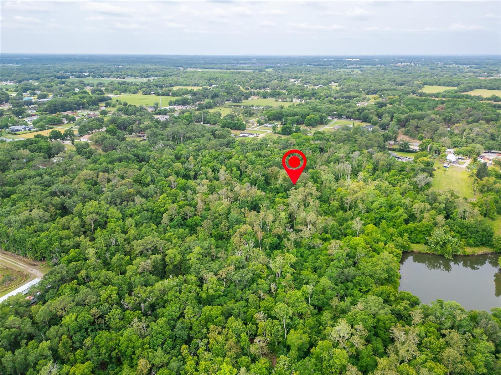 TURKEY CREEK, PLANT CITY, FL, 33566