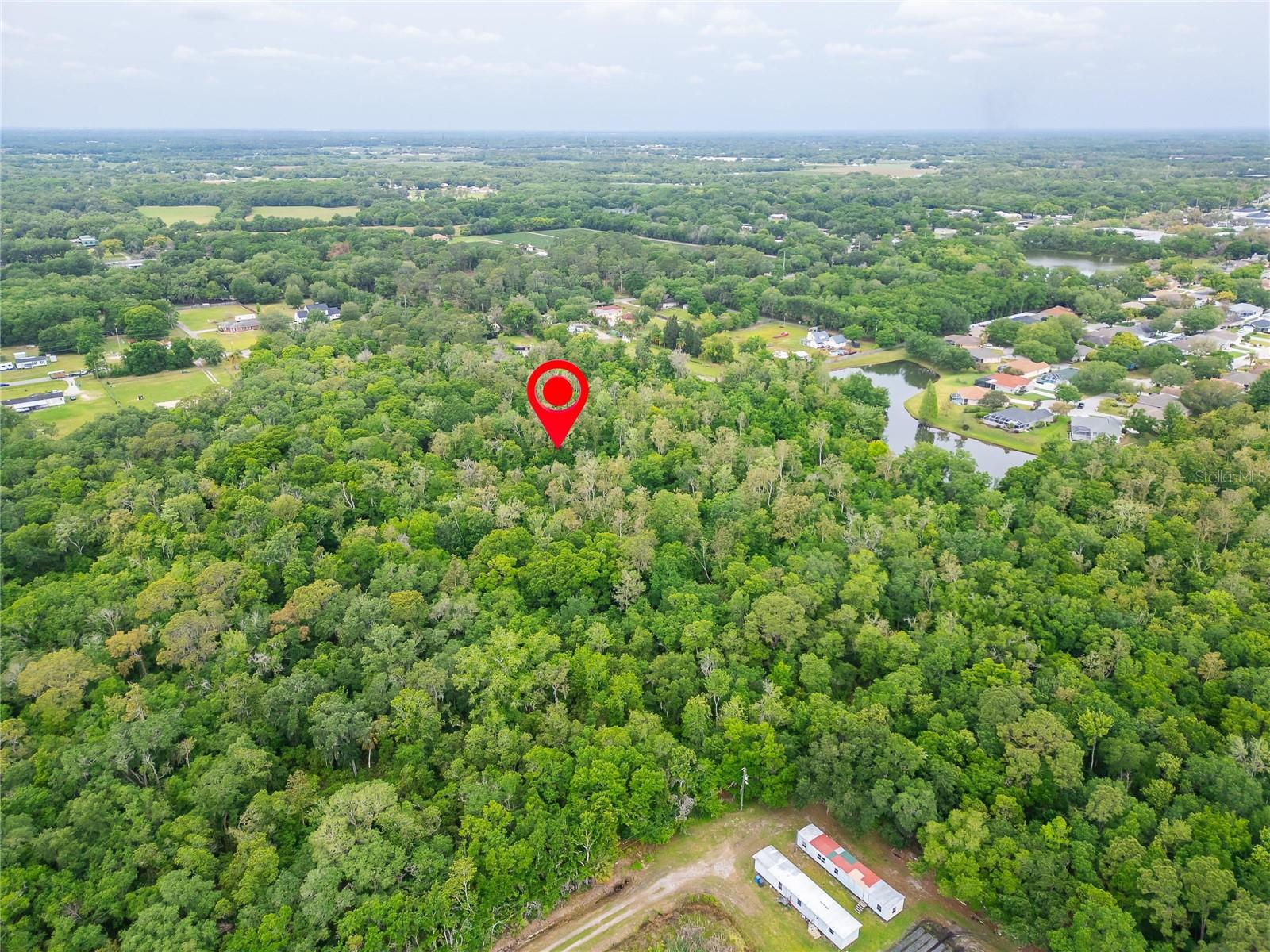 TURKEY CREEK, PLANT CITY, FL, 33566