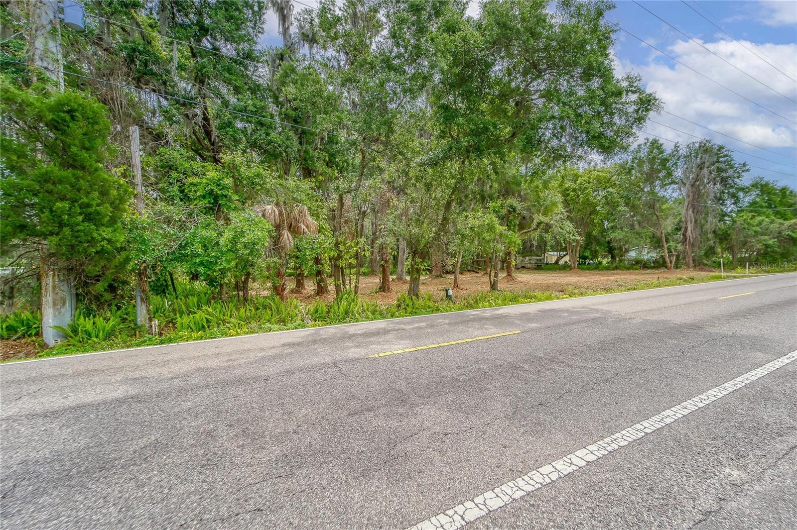 TURKEY CREEK, PLANT CITY, FL, 33566