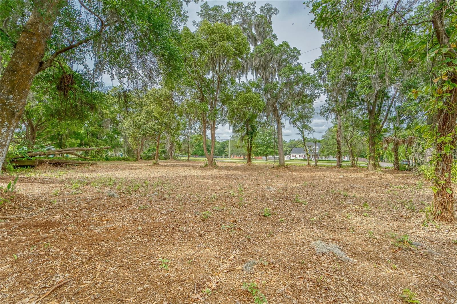 TURKEY CREEK, PLANT CITY, FL, 33566