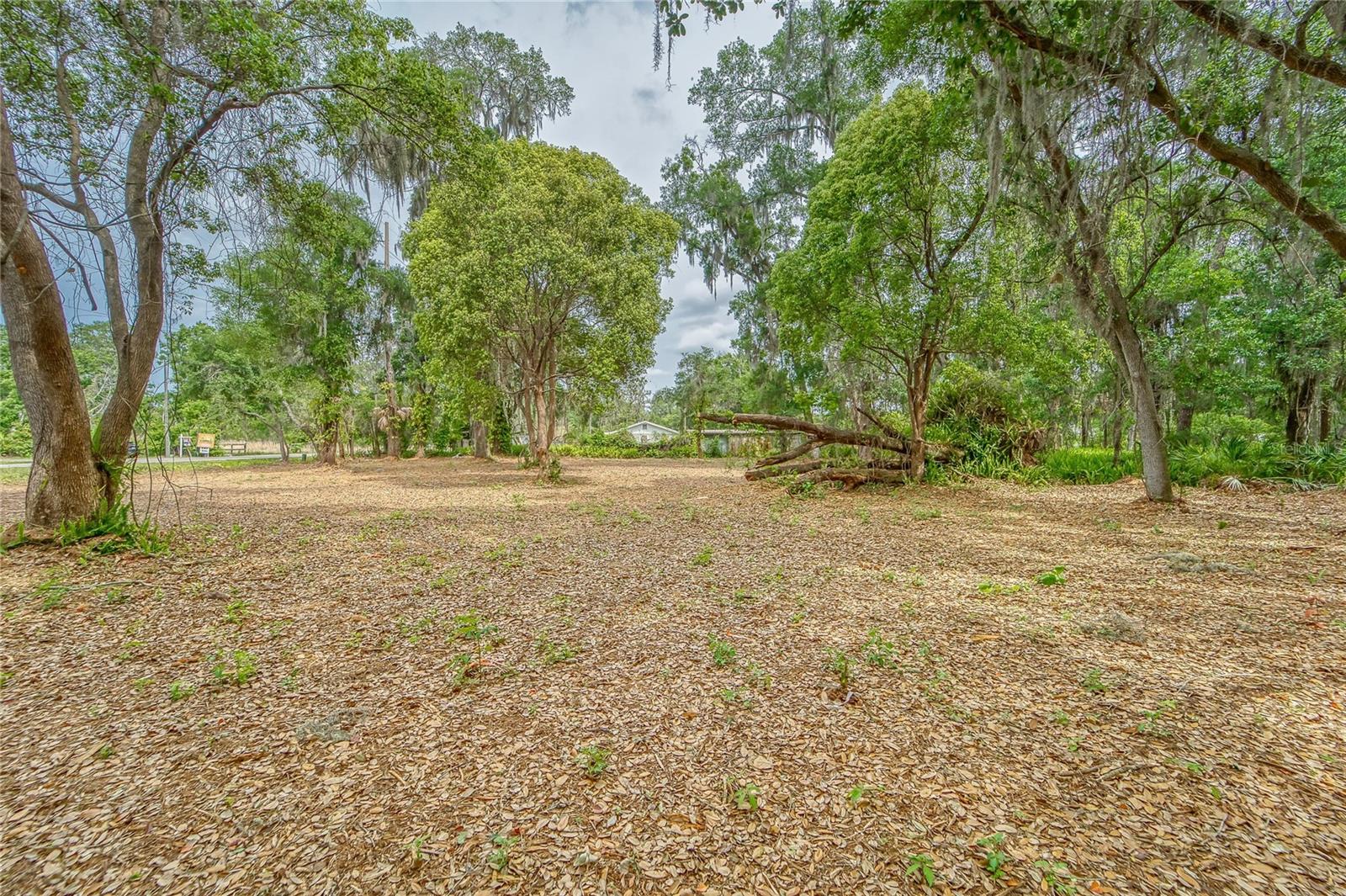 TURKEY CREEK, PLANT CITY, FL, 33566