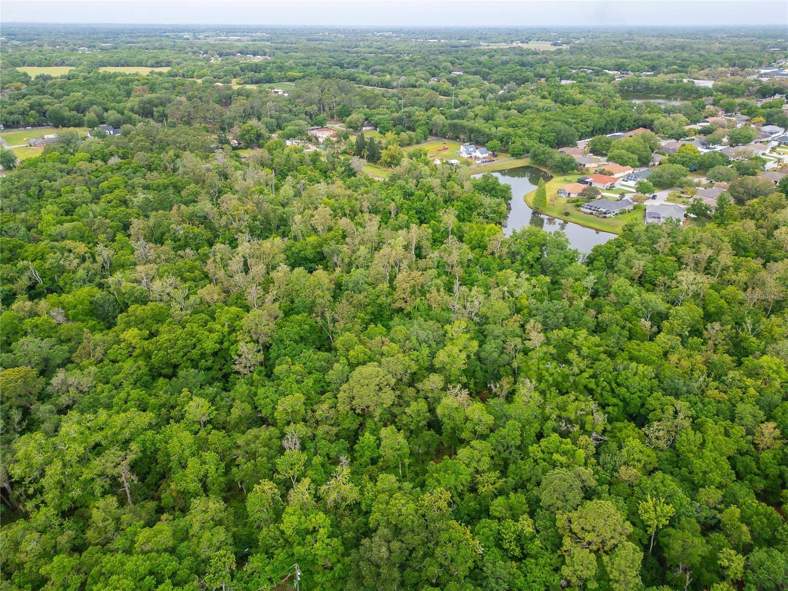 TURKEY CREEK, PLANT CITY, FL, 33566