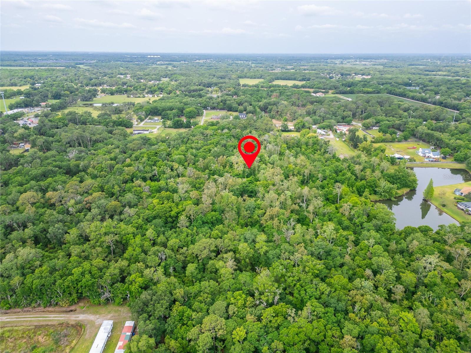 TURKEY CREEK, PLANT CITY, FL, 33566