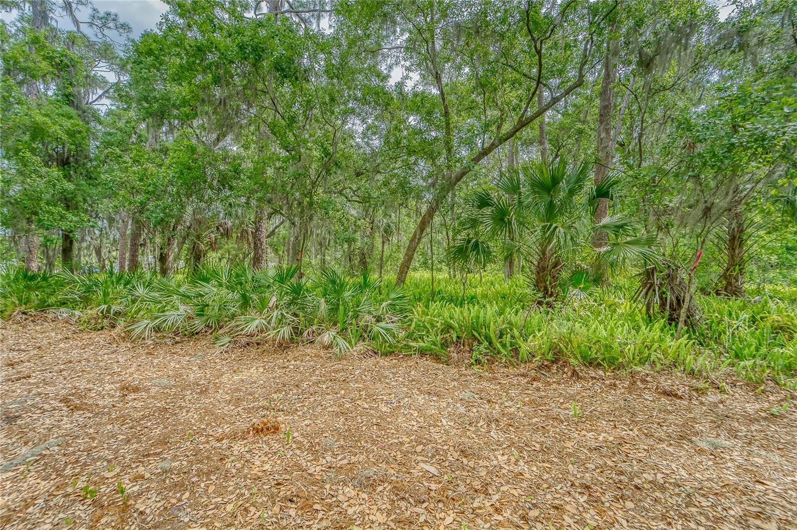 TURKEY CREEK, PLANT CITY, FL, 33566