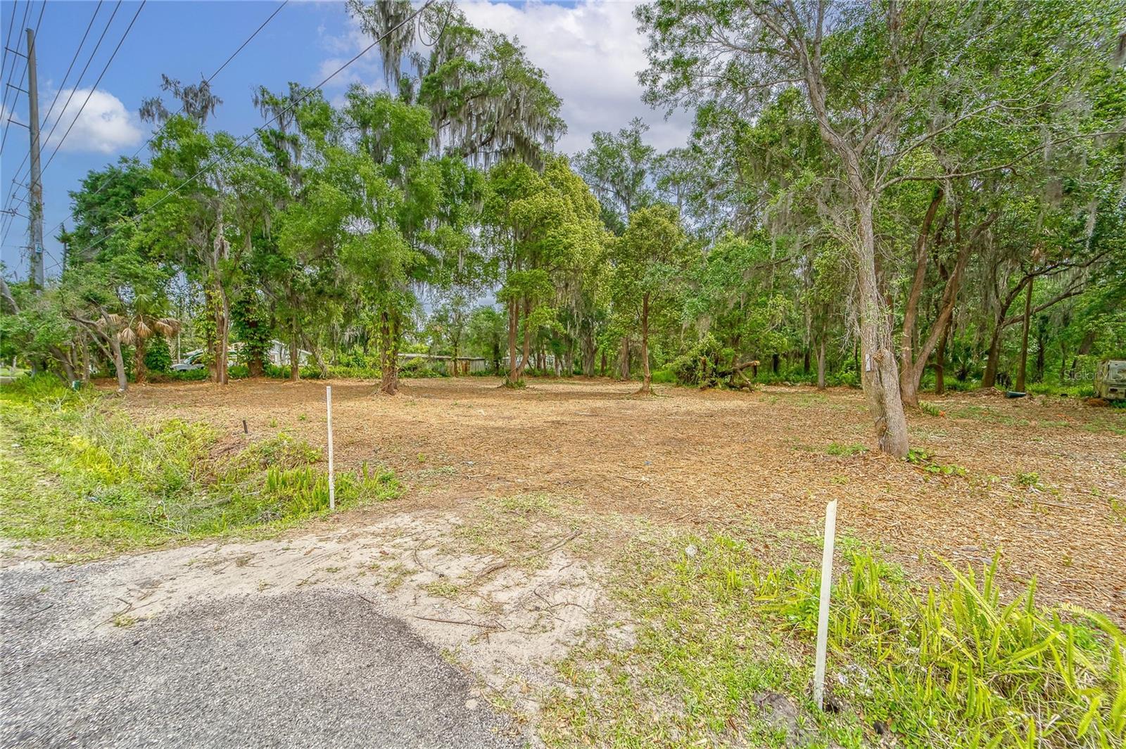 TURKEY CREEK, PLANT CITY, FL, 33566