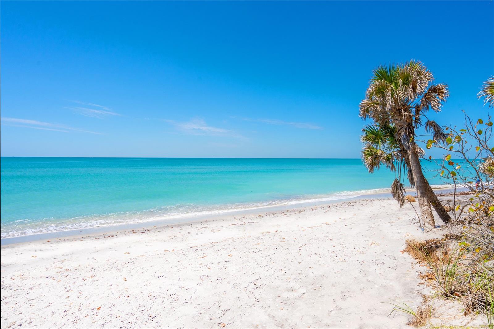 N6140499 Property Photo