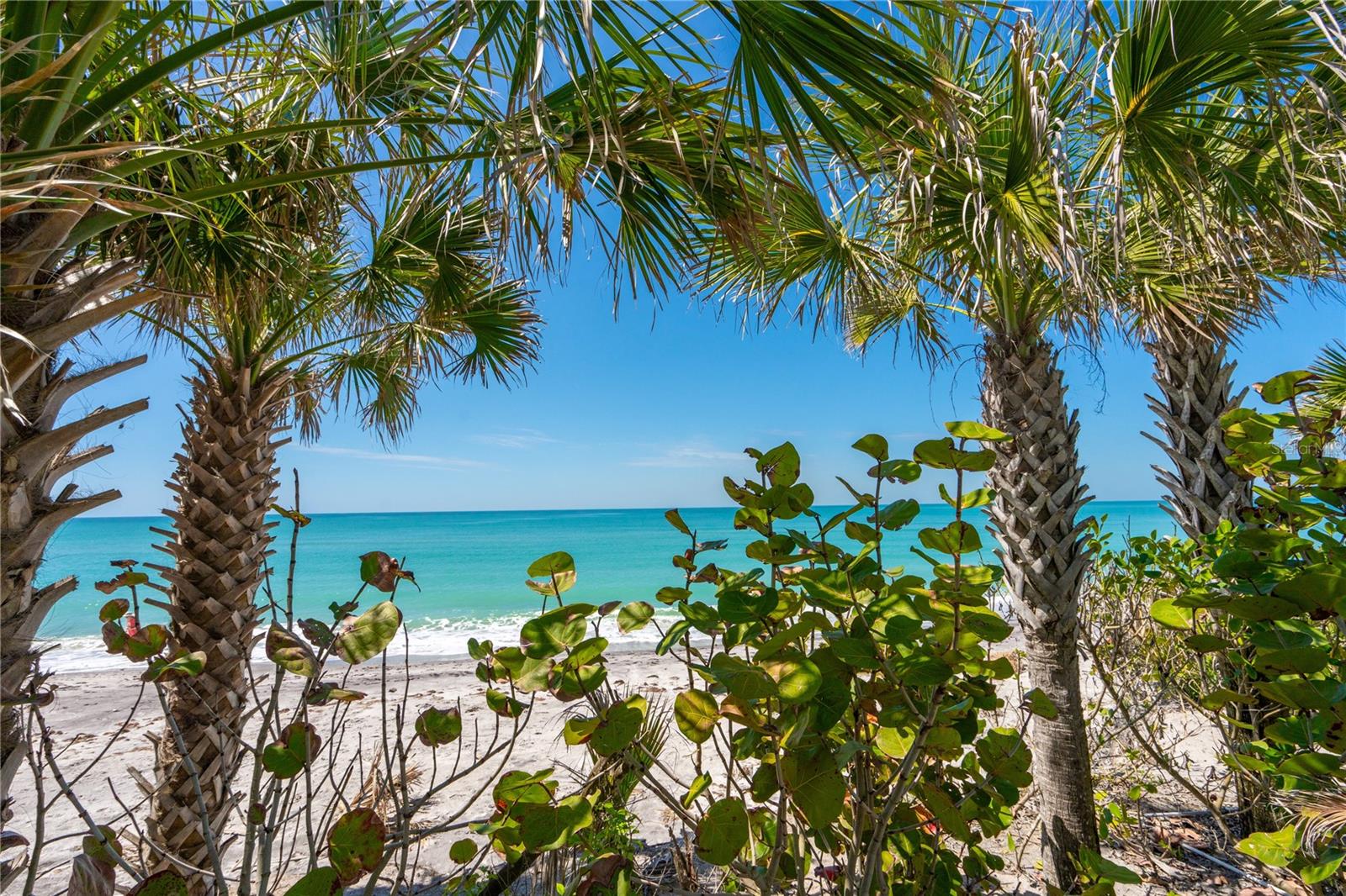 N6140499 Property Photo