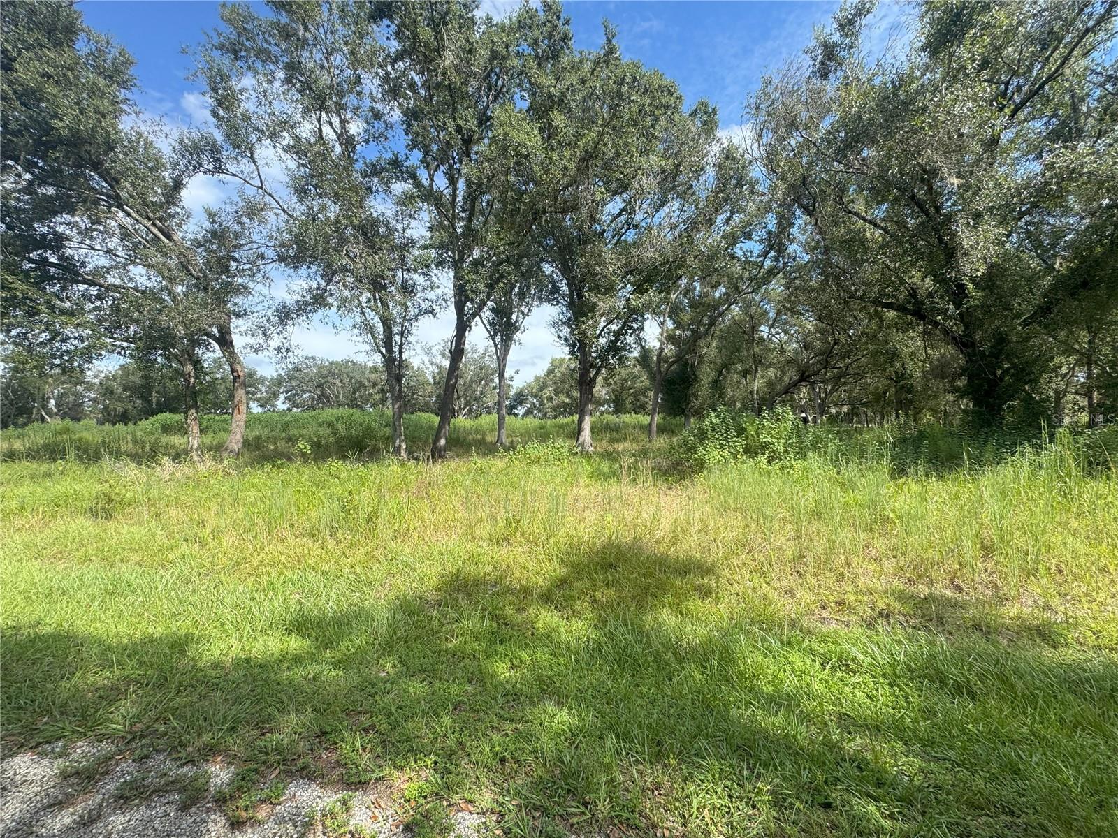 7114 NW LILY COUNTY LINE RD, ONA, FL, 33865