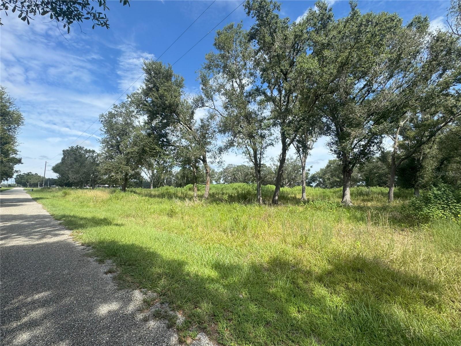 7114 NW LILY COUNTY LINE RD, ONA, FL, 33865