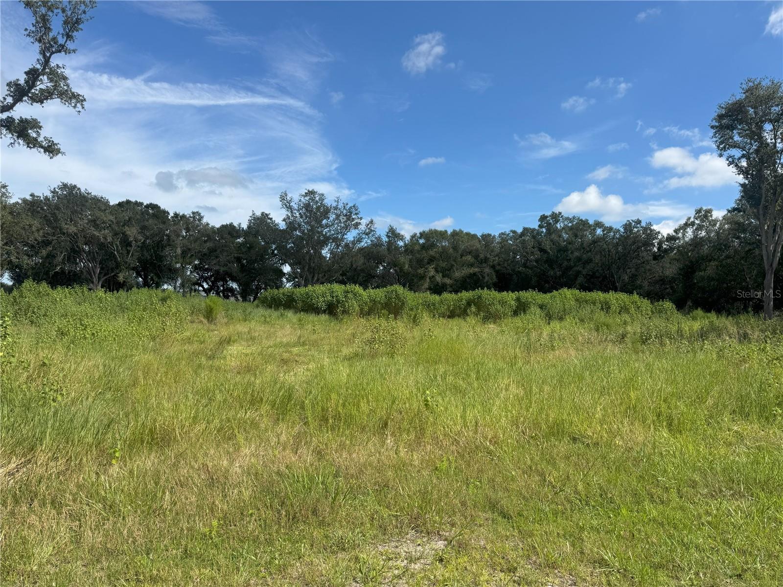 7114 NW LILY COUNTY LINE RD, ONA, FL, 33865