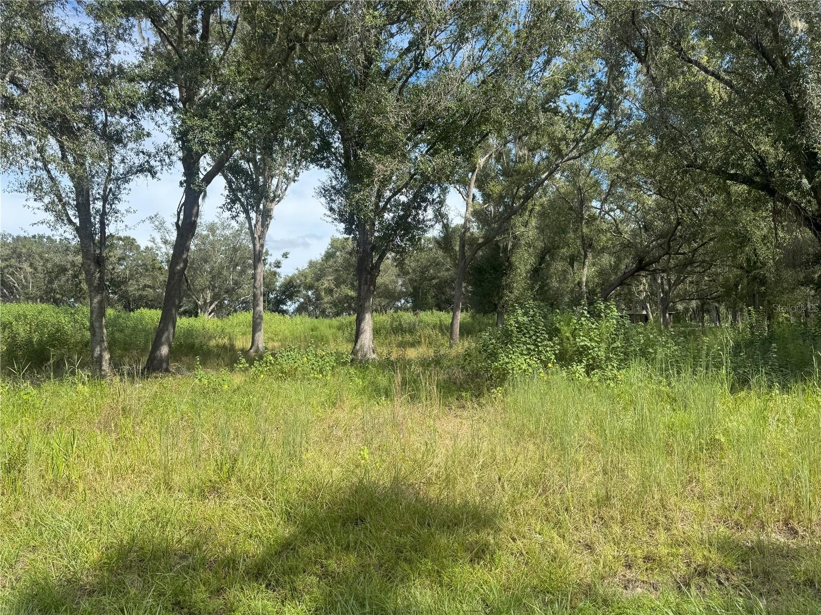 7114 NW LILY COUNTY LINE RD, ONA, FL, 33865
