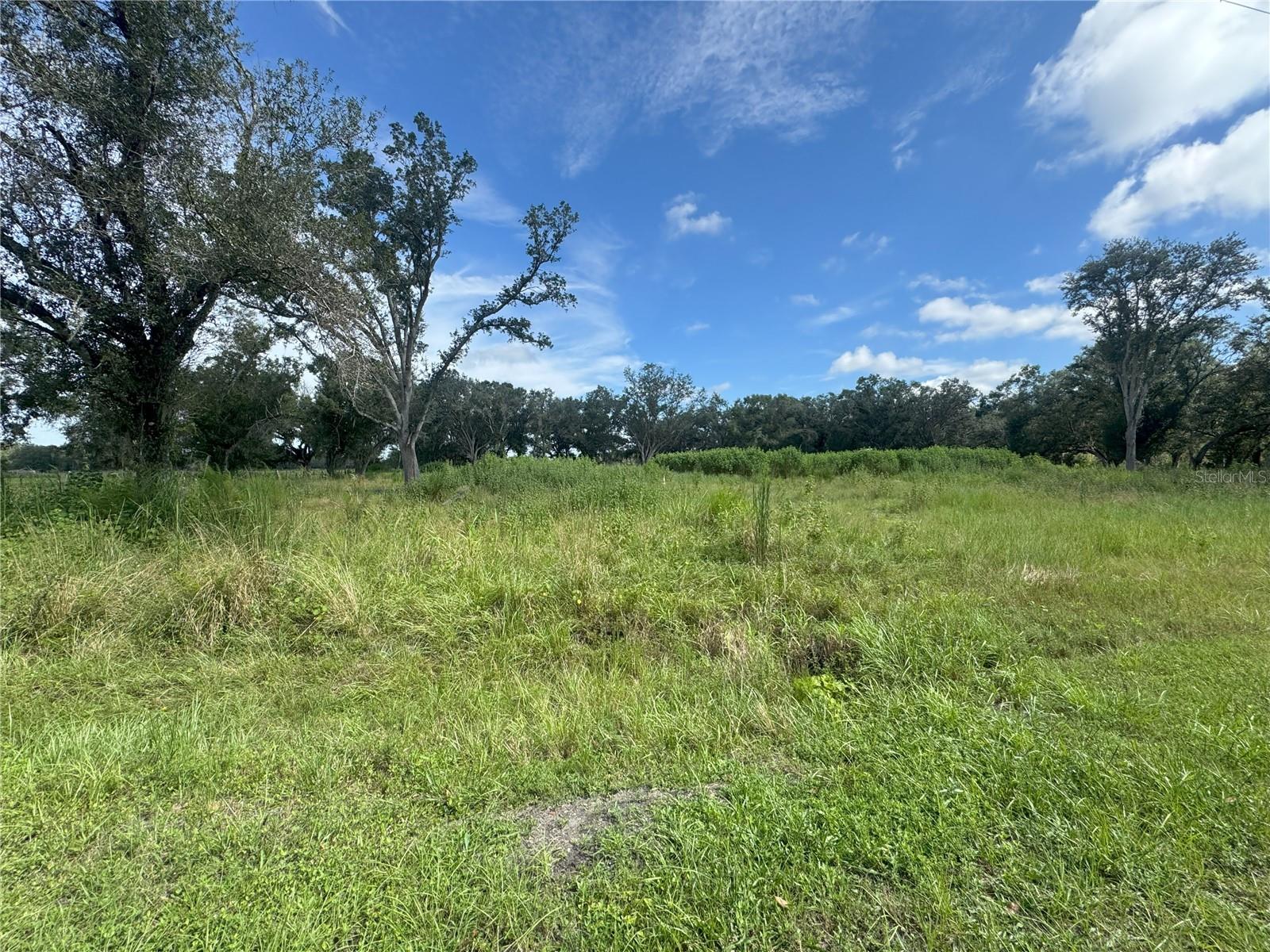 7114 NW LILY COUNTY LINE RD, ONA, FL, 33865