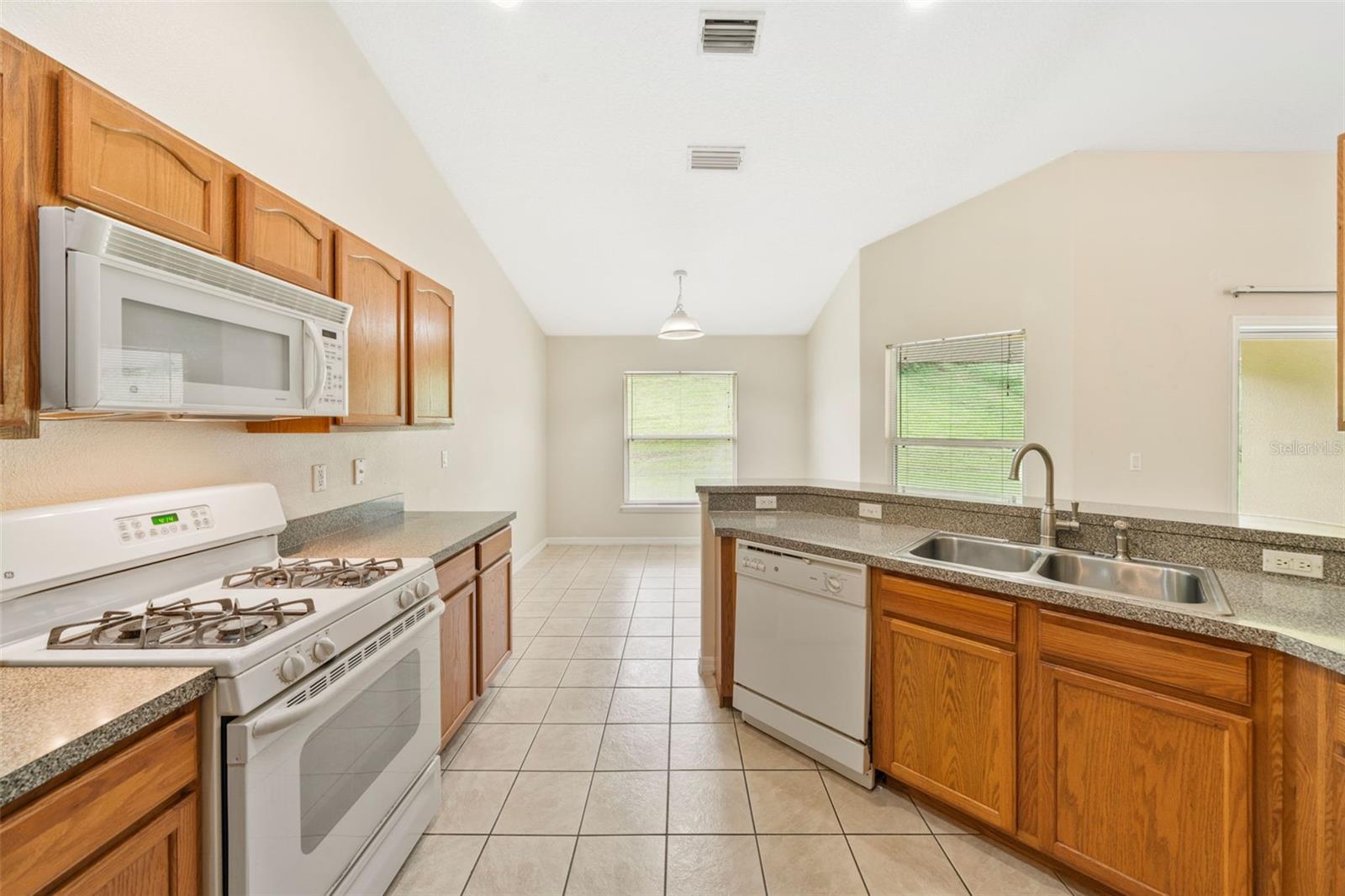 13039 ANTIQUE OAK ST, CLERMONT, FL, 34711