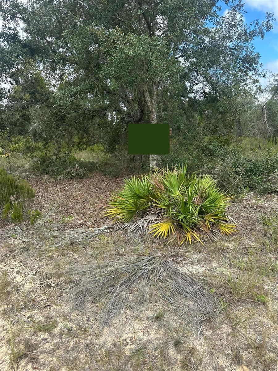 61 ST LN NE, WILLISTON, FL, 32696