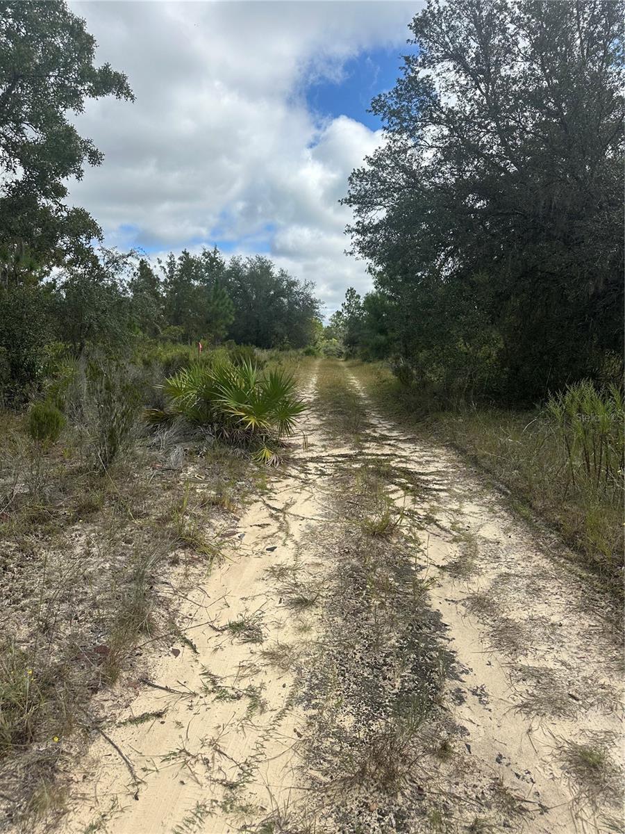 61 ST LN NE, WILLISTON, FL, 32696