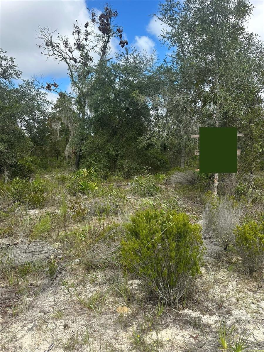 61 ST LN NE, WILLISTON, FL, 32696