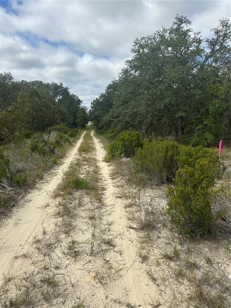 61 ST LN NE, WILLISTON, FL, 32696